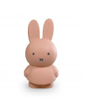 Tirelire Miffy Poudre 13cm