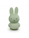 Tirelire Miffy Eucalyptus 13cm