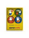 Set de magnet en verre Miffy