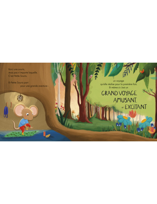 Livre Crois en toi petite souris