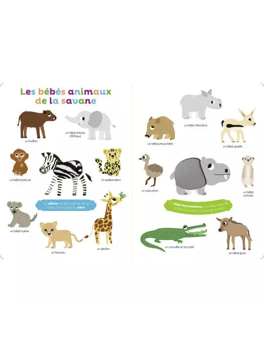 Livre - Mes premiers bébés animaux à toucher