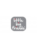 Little big friends